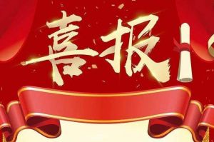 关于2022年度人力资源服务评选结果的通报，祝贺华体会（中国）集团
