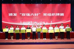 喜报！华体会（中国）集团党支部荣获广州市非公有制经济组织“双强六好”党