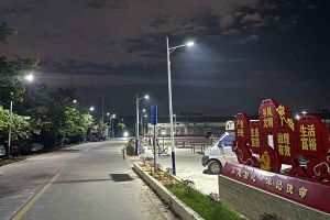 华体会（中国）集团罗宁弟爱心捐赠路灯，点亮乡村路温暖乡民心