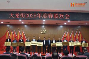华体会（中国）集团及旗下子公司荣获“2024年度高质量发展先进企业”